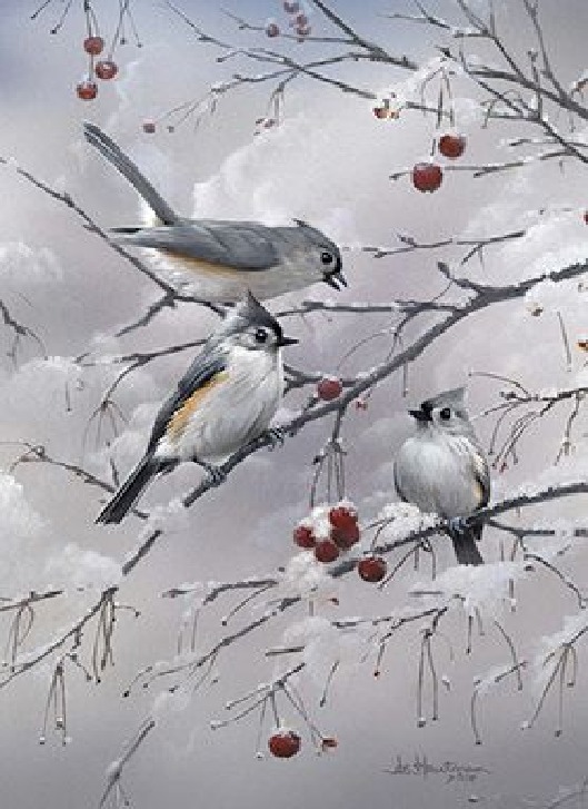 Katart élményfestés - Téli madarak 