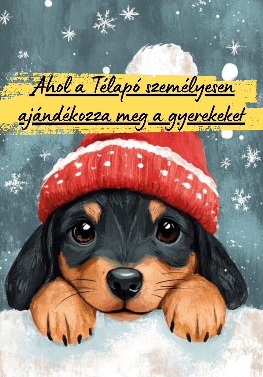 Katart élményfestés - Kutyus sapkában